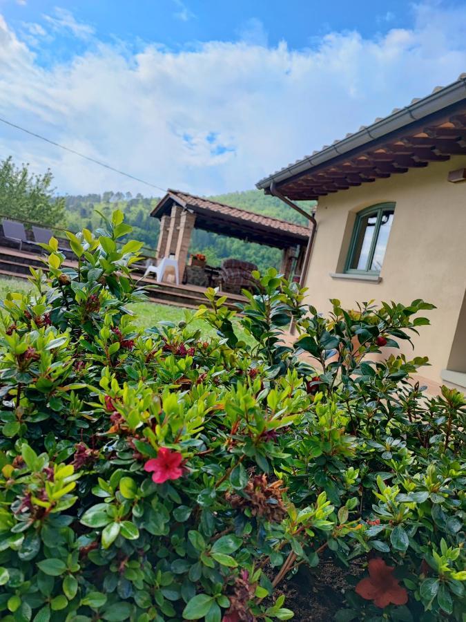 Villa Giulia Fashion B&B Strada in Chianti エクステリア 写真